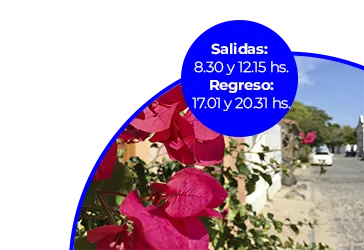 promo daytour colonia